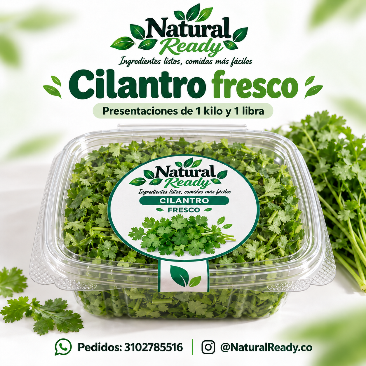 Cilantro picado, presentación Natural Ready