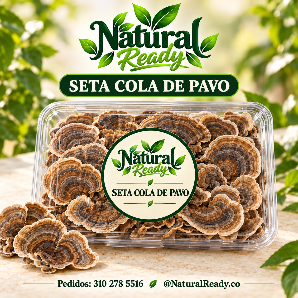 Seta cola de pavo consulta presentación, presentación Natural Ready