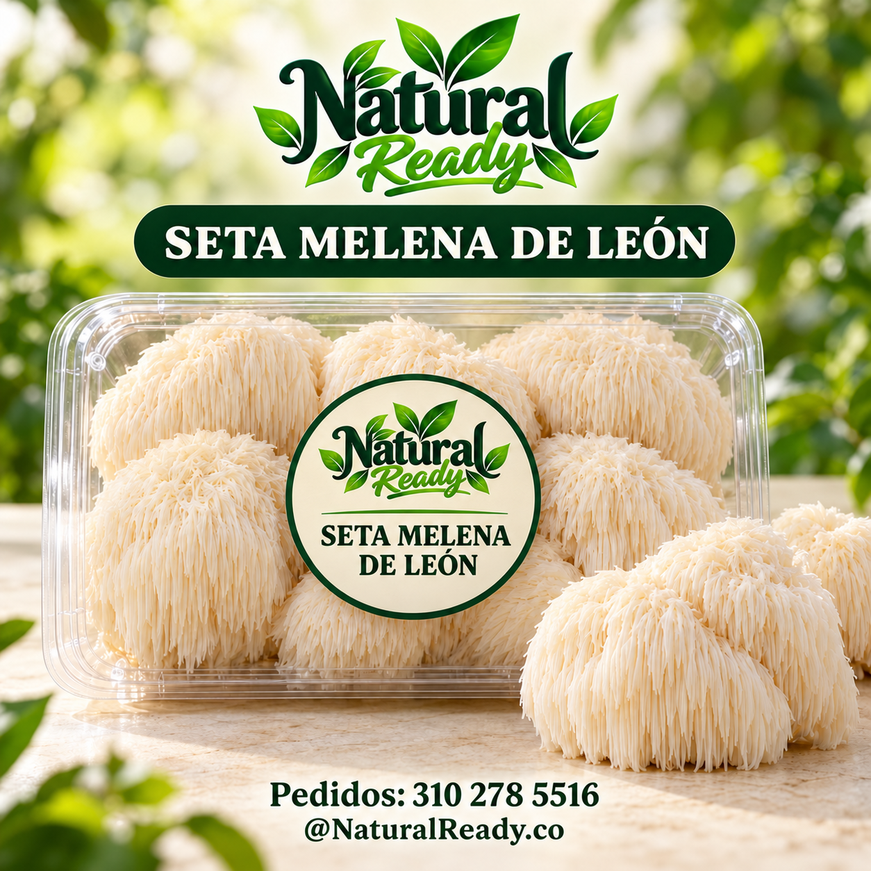 Seta melena de león consulta presentación, presentación Natural Ready